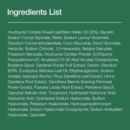 Heartleaf Quercetinol Pore Deep Cleansing Foam – 150ml / 5.07 fl oz - Image 8